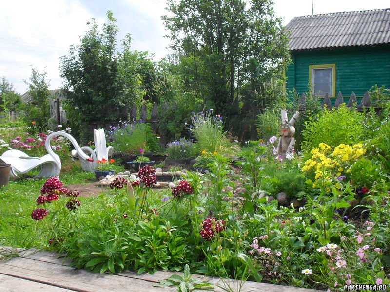 Конкурс "Уютный дворик". Июль 2012 год.